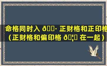 命格同时入 🌷 正财格和正印格（正财格和偏印格 🦄 在一起）